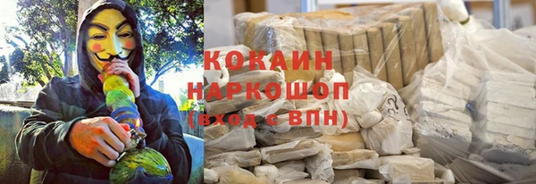 кокс Алексин