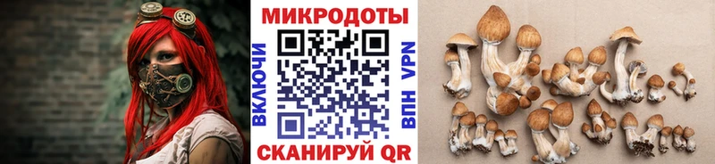 Псилоцибиновые грибы мухоморы  MEGA маркетплейс  Благовещенск 